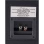 Центральный канал Davis Acoustics Balthus 10 Black Ash