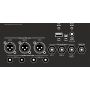 Martin Logan BalancedForce 212 Black Ash