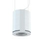 Сабвуфер CVGAUDIO SUBONE MODEL DH-8/W/CR/T
