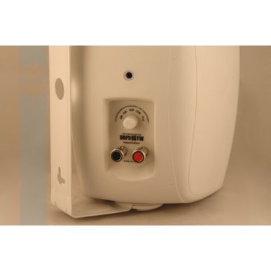Настенная акустика CVGAUDIO ODF516TBL