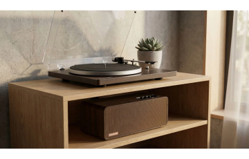 Винил без границ гармония звука и интерьера