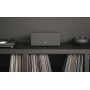 Беспроводная hi-fi акустика AUDIO PRO C20 W Black