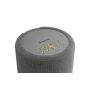 Беспроводная hi-fi акустика AUDIO PRO A10 MkII W Dark Grey