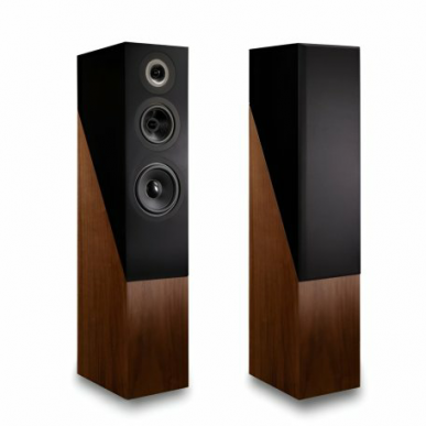 Напольная акустика Davis Acoustics THE PLEDGE Walnut