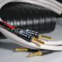 Акустический кабель Wireworld STS2.5MB-10 Stream 10 2.5m