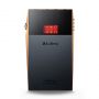 Плеер ASTELL&KERN SP3000T Copper