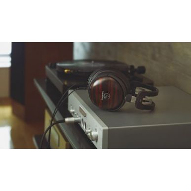 Наушники AUDIO-TECHNICA ATH-AWKT/F