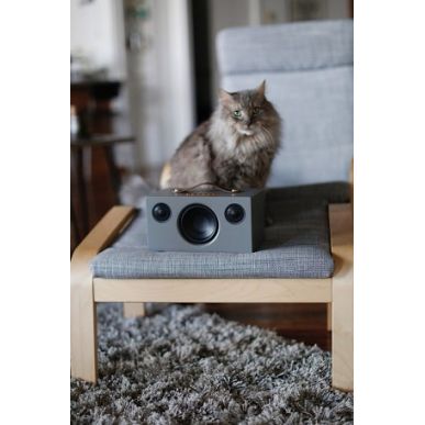 Беспроводная hi-fi акустика AUDIO PRO Addon T3+ Grey