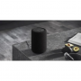 Беспроводная hi-fi акустика AUDIO PRO A10 MKII Black