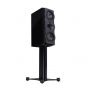 Полочная акустика Perlisten Audio R5m