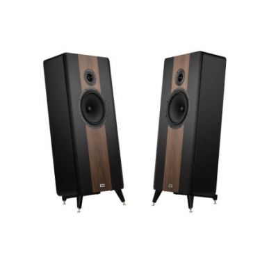 Напольная акустика HECO Direkt Premium Black / Walnut
