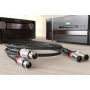 Кабель XLR Ricable Magnus Signal XLR 2 x 2 m