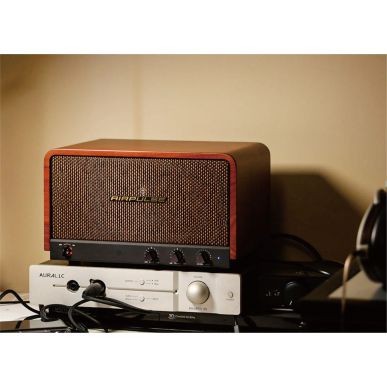 Беспроводная hi-fi акустика Edifier P100X