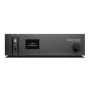 Сетевой проигрыватель Gold Note DS-1000-Evo (black)