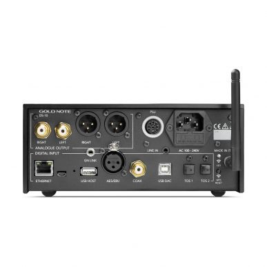 Сетевой проигрыватель Gold Note DS-10 EVO (black)