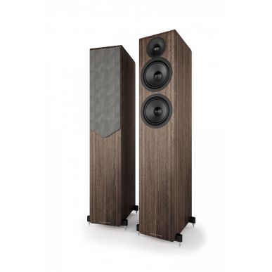 Напольная акустика Acoustic Energy AE309-2 (2025) WALNUT