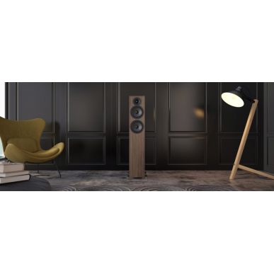Напольная акустика Acoustic Energy AE309-2 (2025) WALNUT