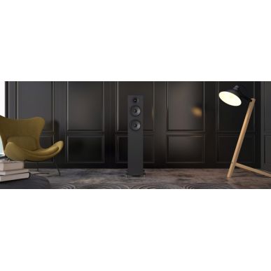 Напольная акустика Acoustic Energy AE309-2 (2025) Piano Gloss Black