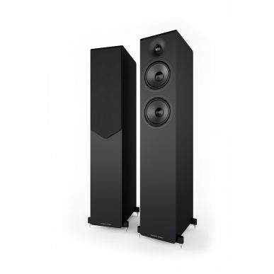 Напольная акустика Acoustic Energy AE309-2 (2025) Piano Gloss Black