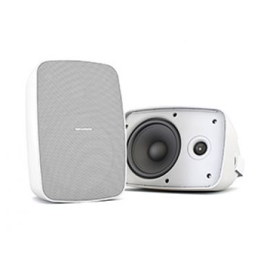 Настенная акустика CVGAUDIO OSR608TW