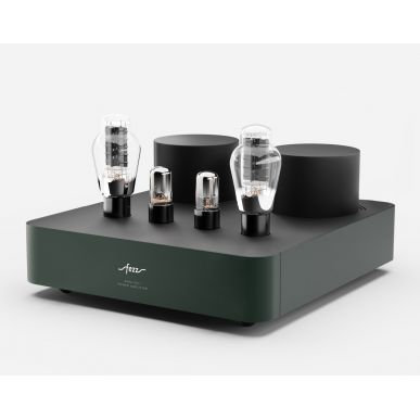 Ламповый усилитель Fezz Audio Mira Ceti 300b POWER AMPLIFIER EVO Evergreen