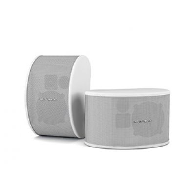 Настенная акустика CVGAUDIO NUT5:DANTE-W