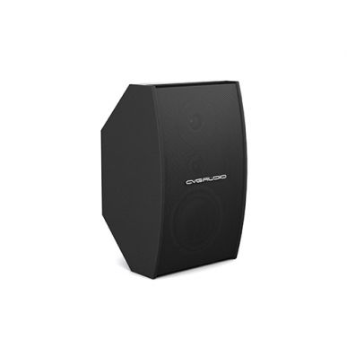 Настенная акустика CVGAUDIO AXE6:3:4BL