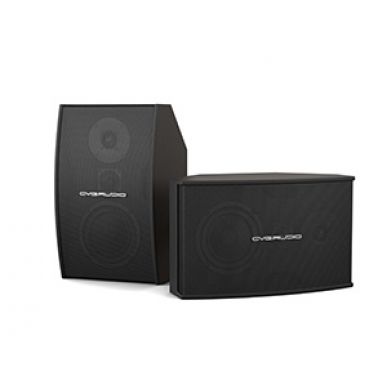 Настенная акустика CVGAUDIO AXE6:3:4BL