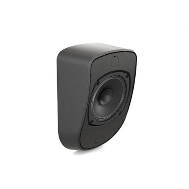 Настенная акустика CVGAUDIO WPL6TBL