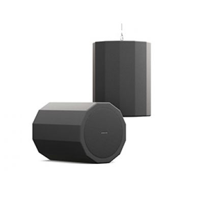 Подвесная акустика CVGAUDIO CUP 5:8TBL