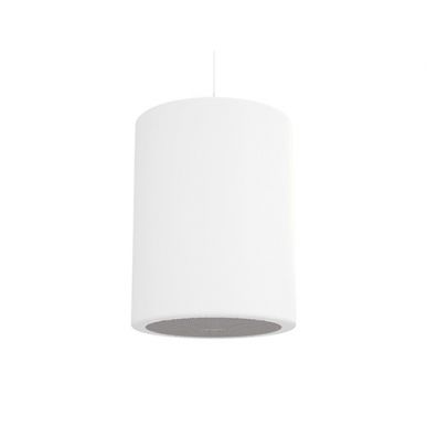 Подвесная акустика CVGAUDIO CUP 5:8RW