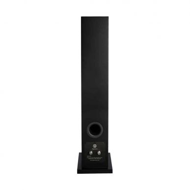 Напольная акустика System Audio SA Signature 40 Satin Black