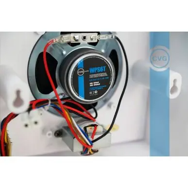 Настенная акустика CVGAUDIO WPS6T