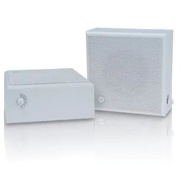 Настенная акустика CVGAUDIO WPS6T