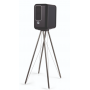 Активная полочная акустика Q Acoustics Active 200 (QA8204) Black