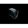 Усилитель мощности Naim Statement NAP S1 L POWERAMP