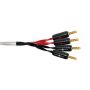 Акустический кабель Wireworld Luna 8 Biwire Speaker Cable 3.0m Pair (BAN-BAN) 2.0 кв.мм