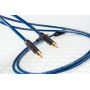 DH Labs BL-1 interconnect RCA 2,0m