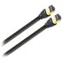 Патч-корд AudioQuest Pearl RJ/E PVC (3.0 м)