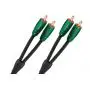 Межблочный кабель RCA AudioQuest Evergreen 2RCA-2RCA (1.0 м)