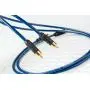 DH Labs BL-1 interconnect RCA 2, 0m