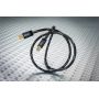 DH Labs USB digital USB 1,5m